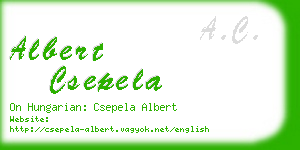 albert csepela business card